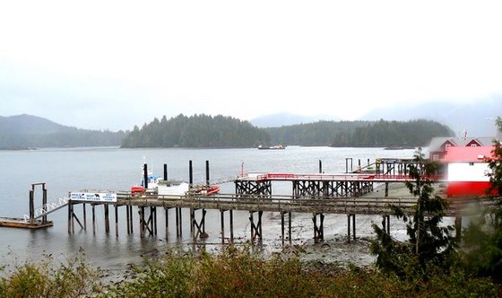 Tofino dock.JPG